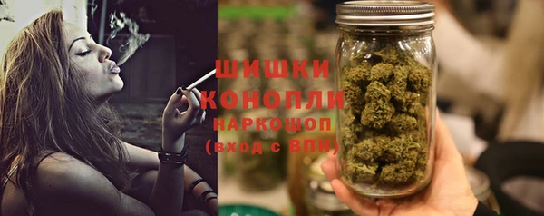 индика Зеленодольск