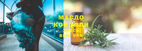 индика Зеленодольск