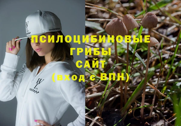 mdpv Козельск