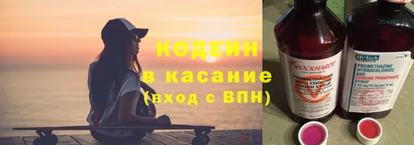 индика Зеленодольск