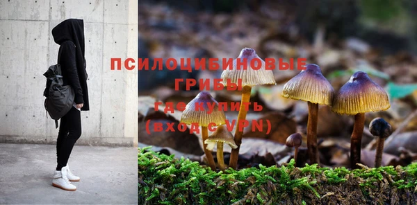 синтетический гашиш Зеленокумск
