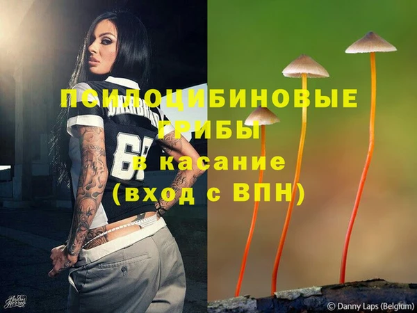 индика Зеленодольск