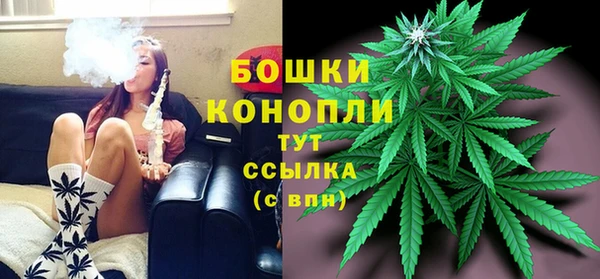 индика Зеленодольск