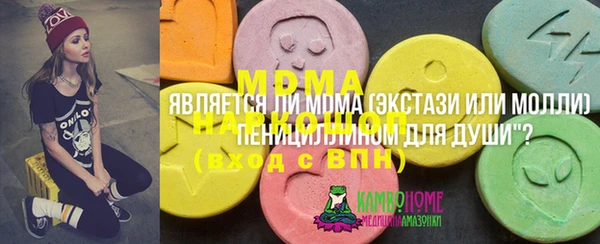 индика Зеленодольск