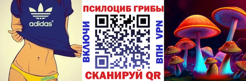 Купить где  Ивангород  Галлюциногенные грибы прущие грибы 